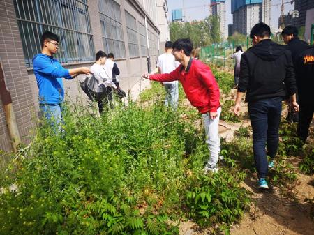 学生捡垃圾